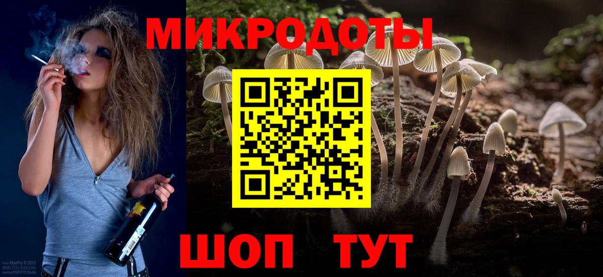 Псилоцибиновые грибы Psilocybine cubensis Кимовск